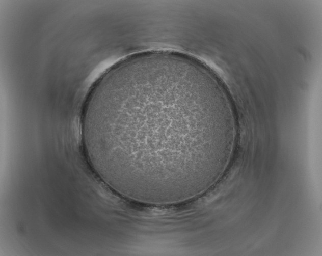 X0000114091271200910191555
