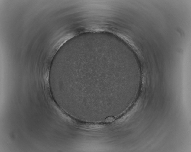 X0000114091273200910191555