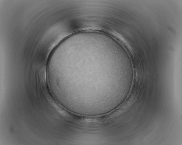 X0000114091274200910191555