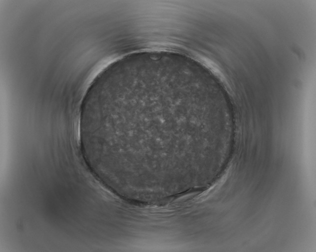 X0000114091275200910191555