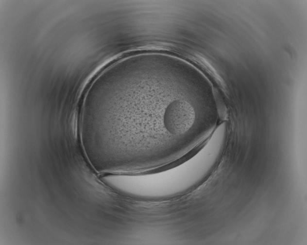 X0000114091276200910191555