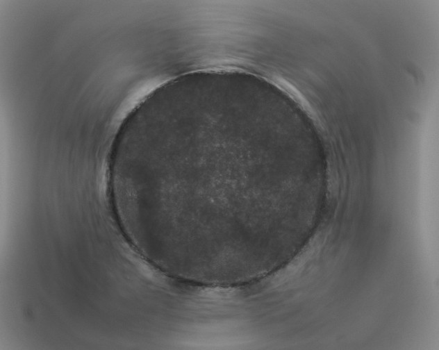 X0000114091277200910191555