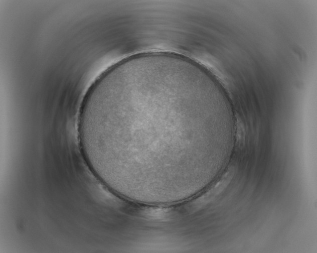 X0000114091278200910191555