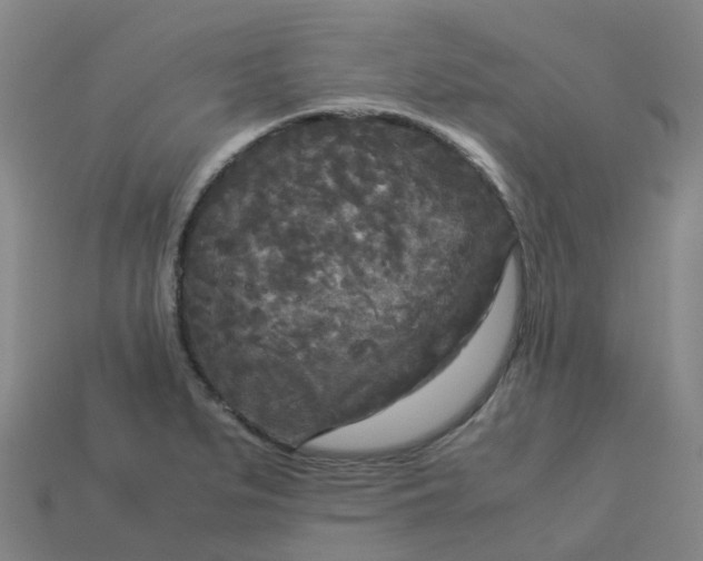 X0000114091279200910191555