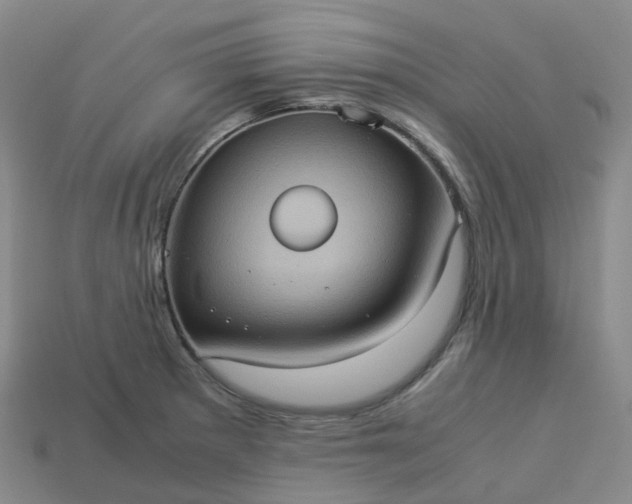 X0000114091281200910191555