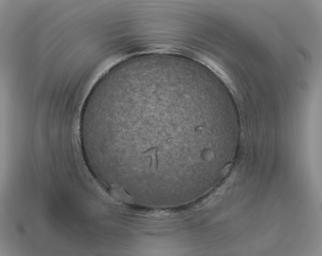 X0000114091283200910191555
