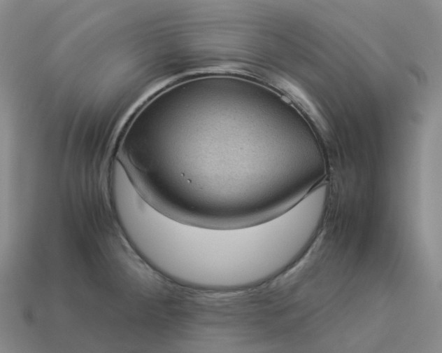 X0000114091284200910191555