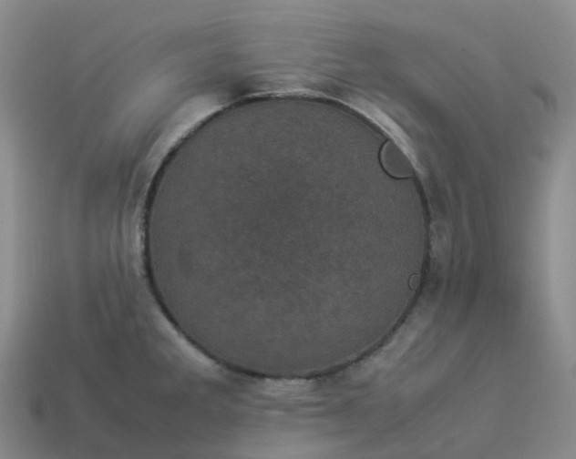 X0000114091285200910191555