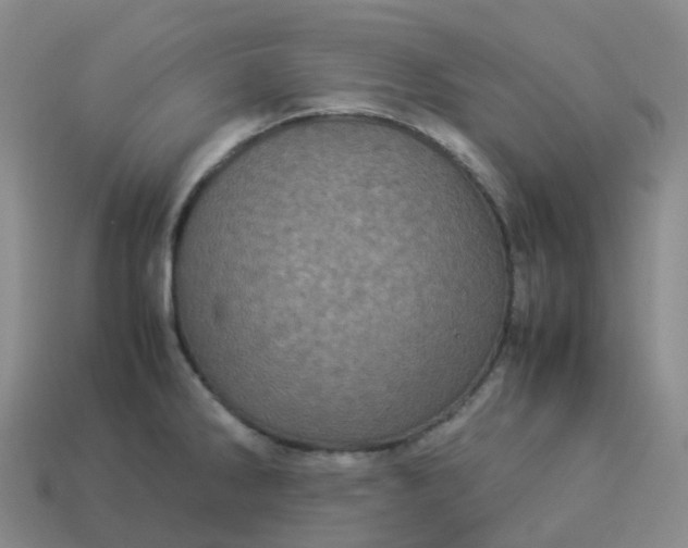 X0000114091286200910191555