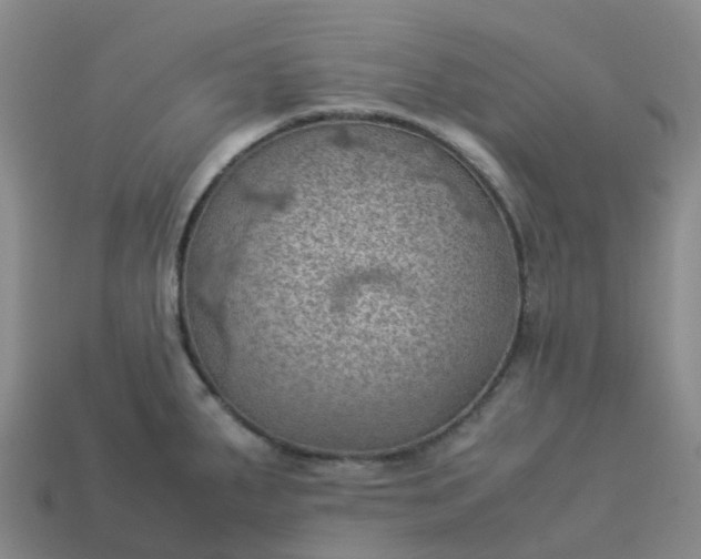 X0000114091287200910191555