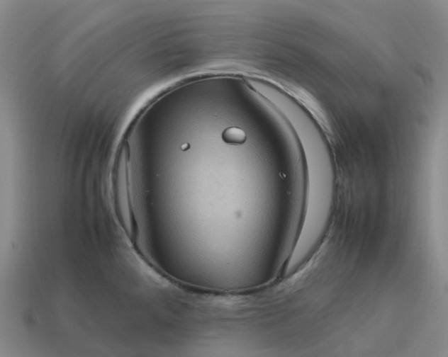 X0000114091288200910191555