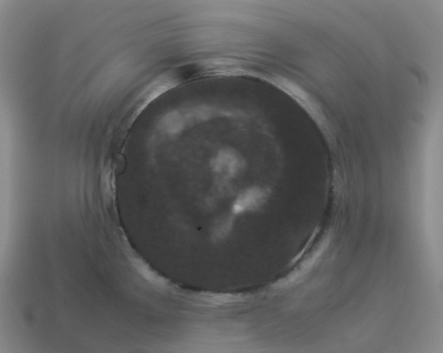 X0000114091289200910191555