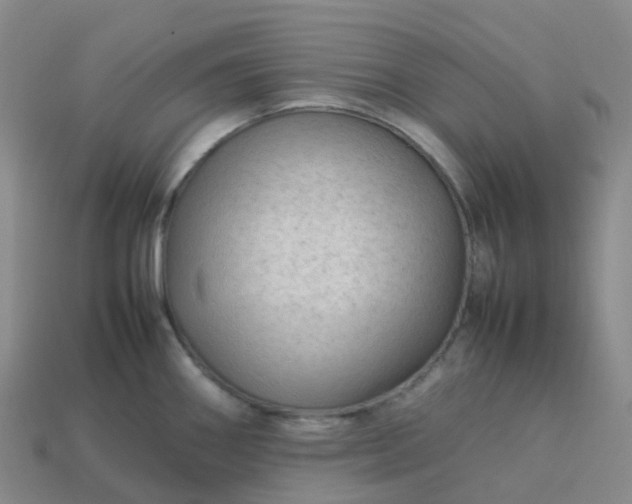 X0000114091290200910191555