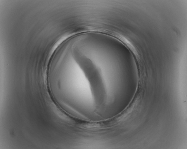 X0000114091291200910191555
