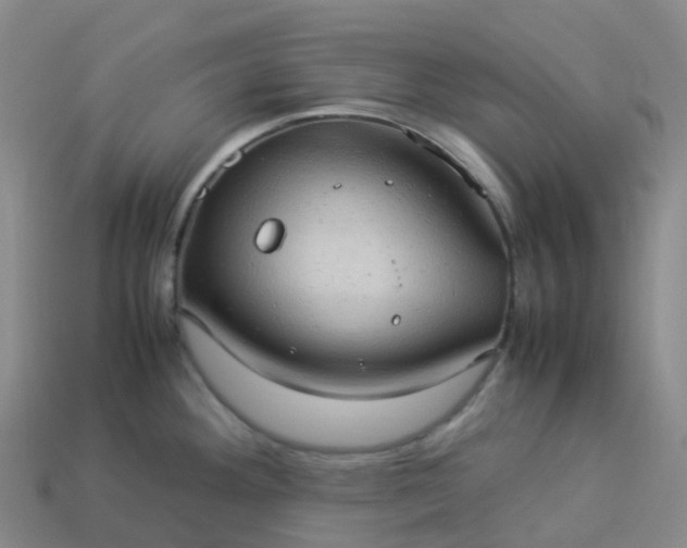 X0000114091292200910191555