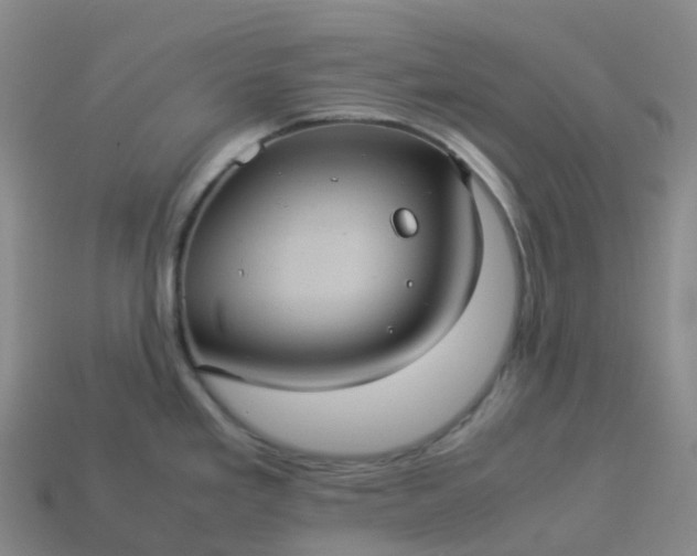 X0000114091293200910191555