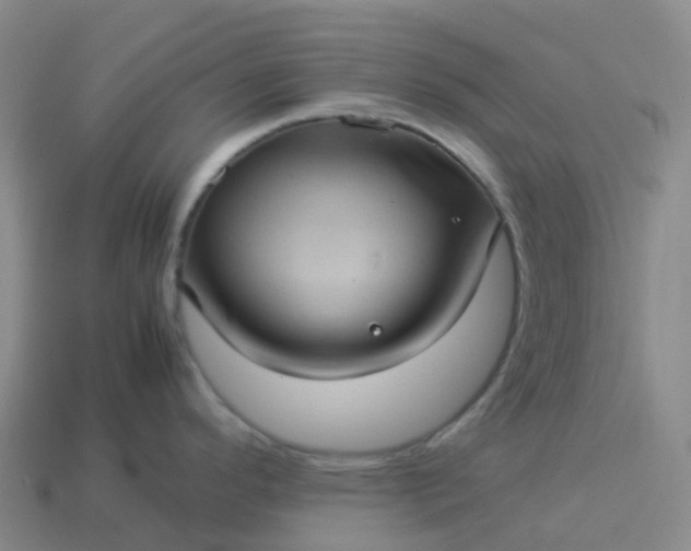 X0000114091296200910191555