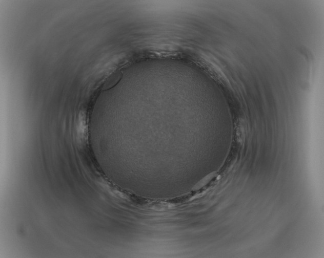 X0000114091298200910191554