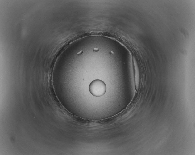 X0000114091300200910191554