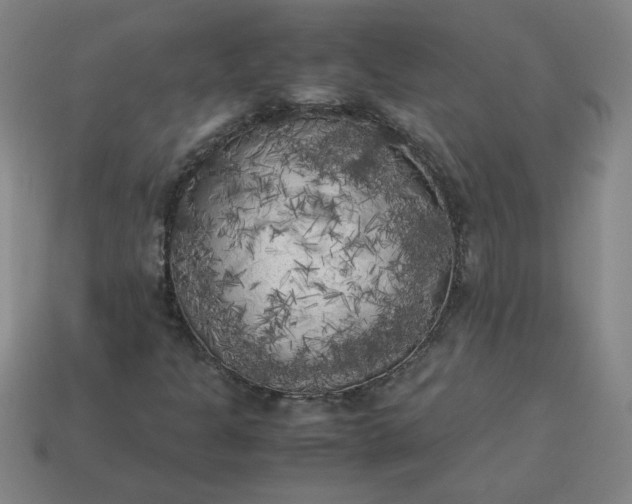 X0000114091301200910191554