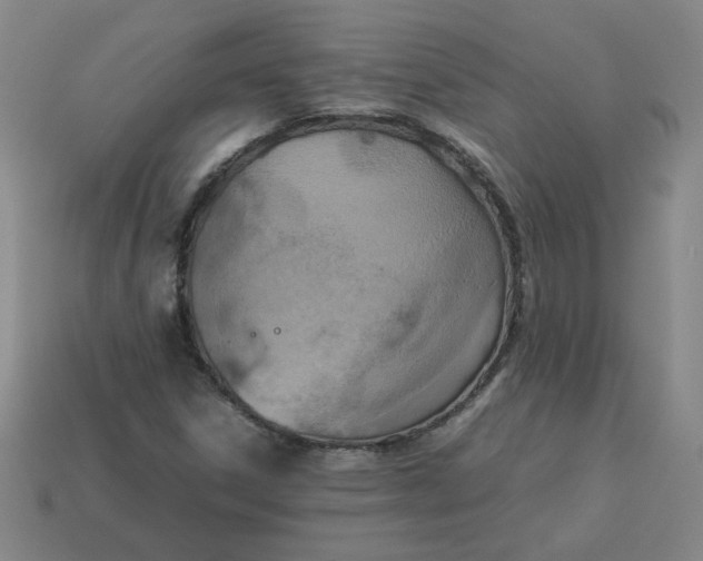 X0000114091306200910191555