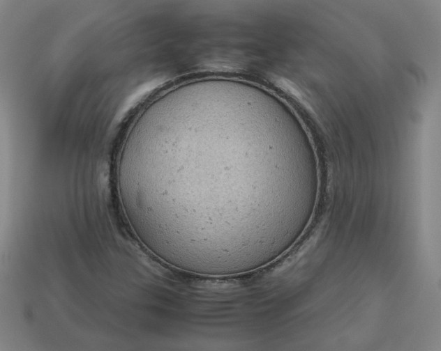X0000114091307200910191555
