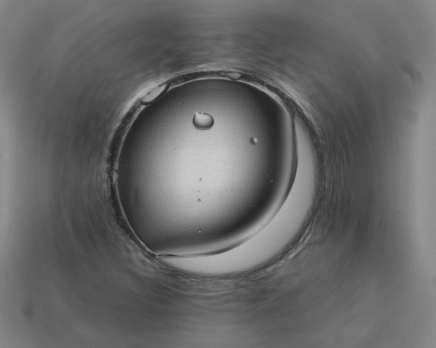 X0000114091308200910191555