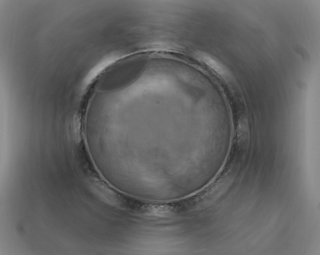 X0000114091310200910191555