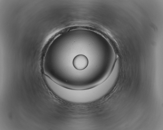 X0000114091312200910191555