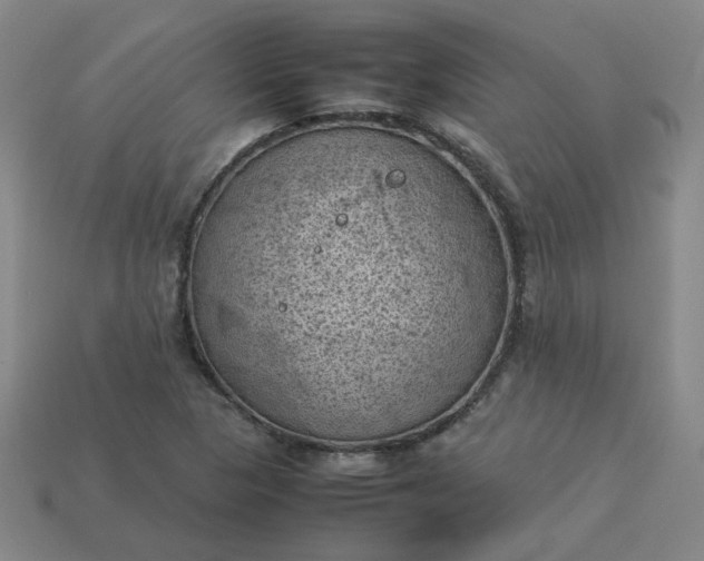 X0000114091313200910191555