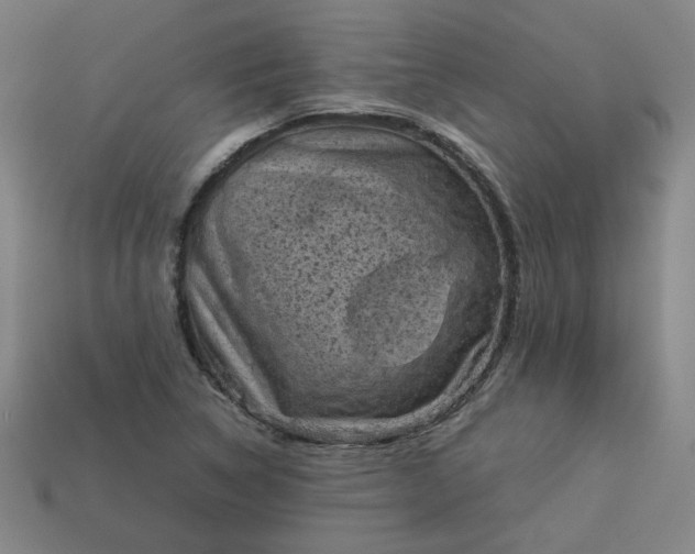 X0000114091314200910191555
