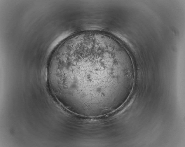 X0000114091317200910191555