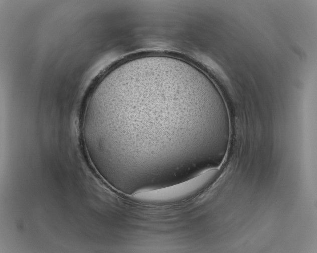 X0000114091318200910191555