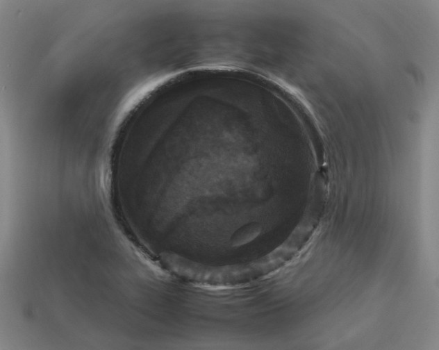 X0000114091319200910191555