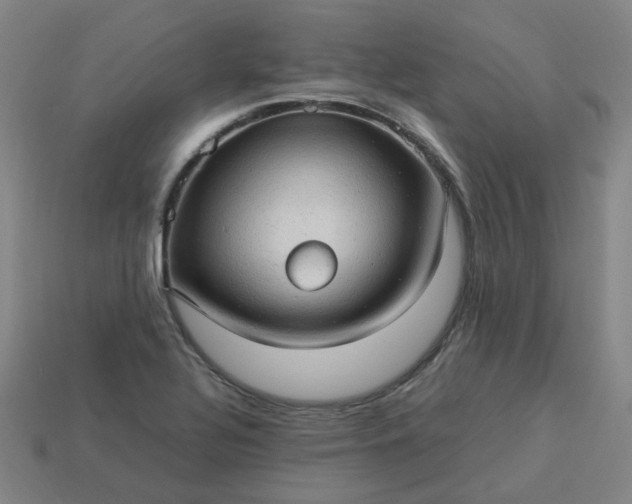 X0000114091320200910191555