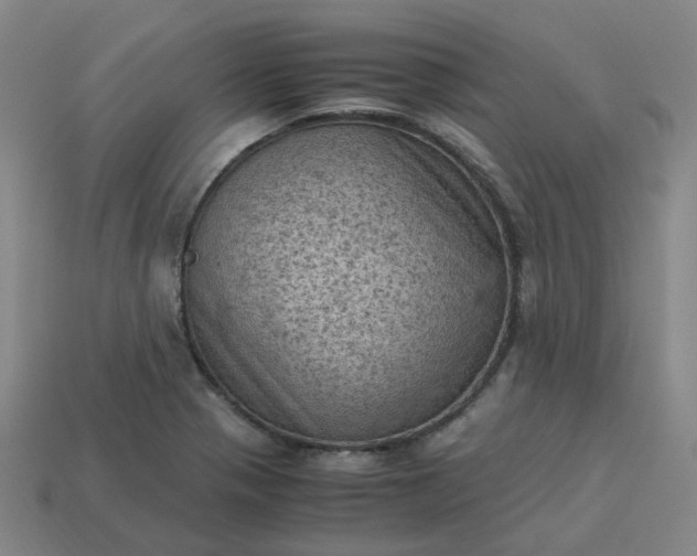 X0000114091321200910191555