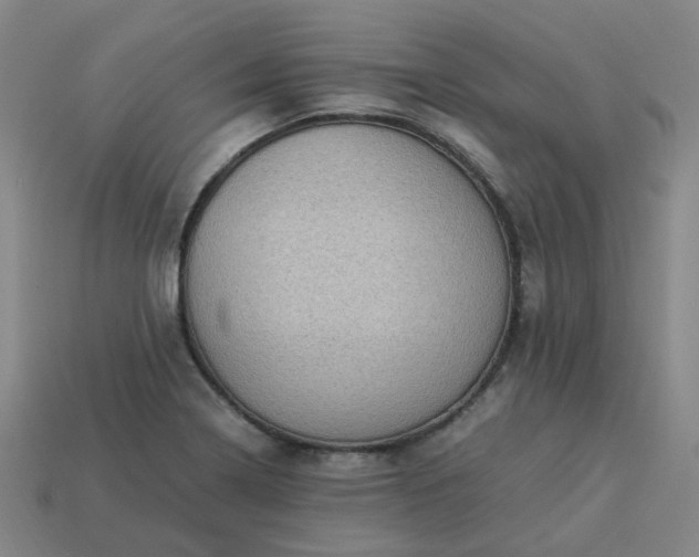 X0000114091322200910191555