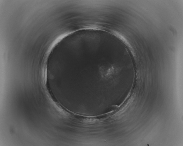 X0000114091323200910191555