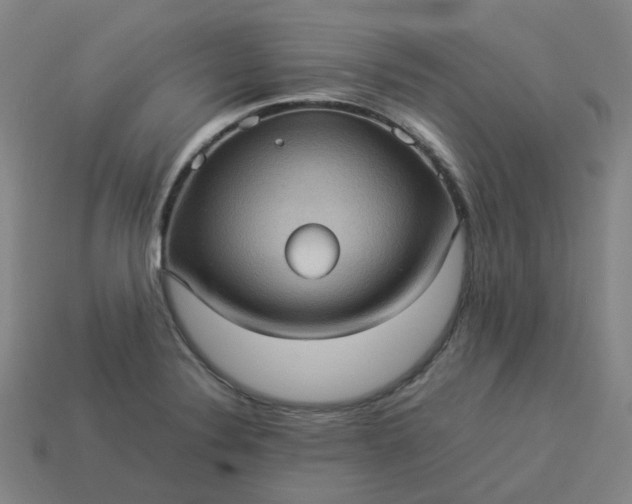 X0000114091324200910191555
