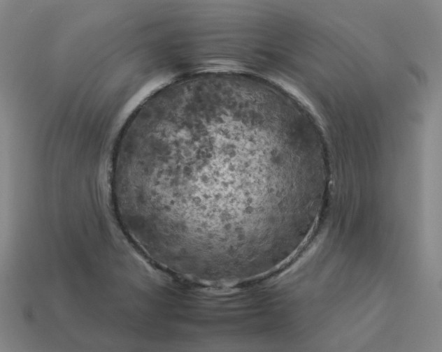 X0000114091325200910191555
