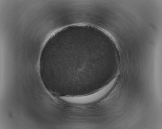 X0000114091327200910191555