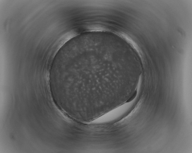 X0000114091329200910191555