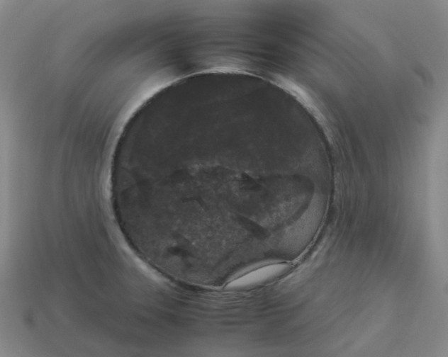X0000114091331200910191555