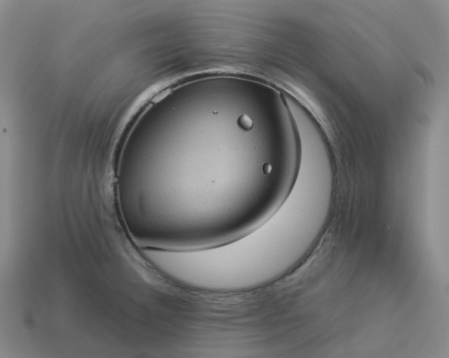 X0000114091332200910191555