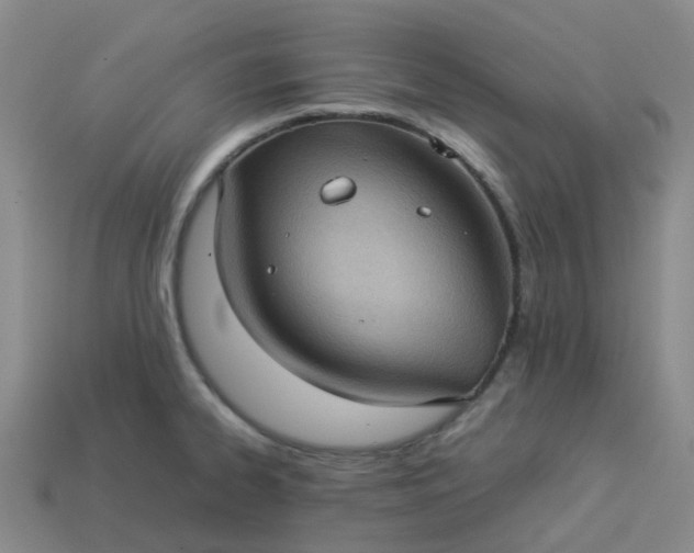 X0000114091334200910191555