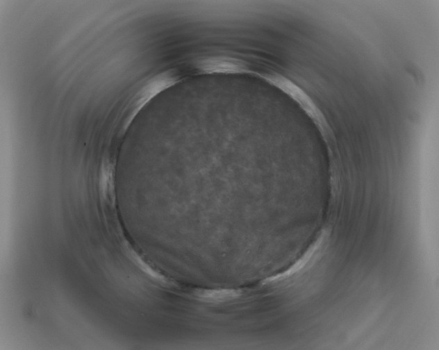 X0000114091337200910191555