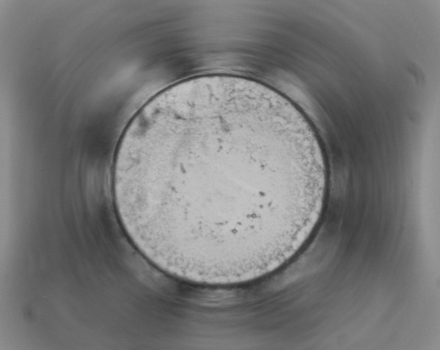 X0000114091338200910191555