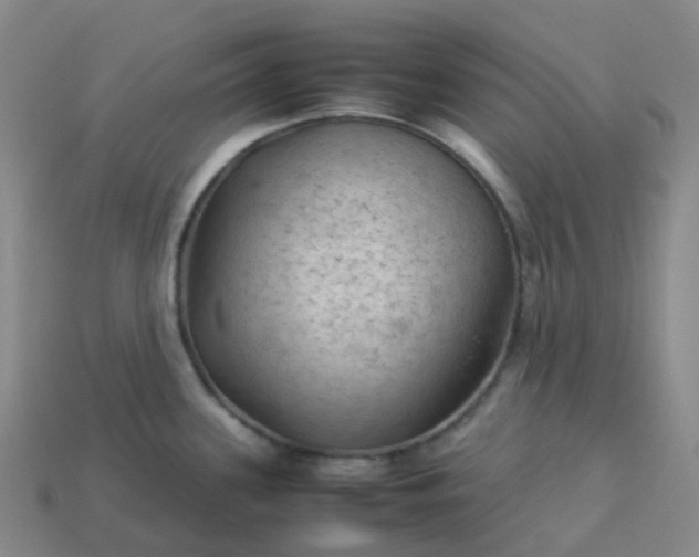 X0000114091339200910191555