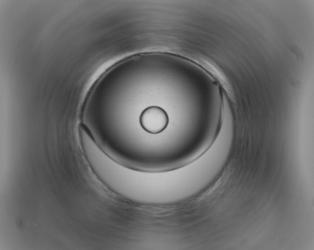 X0000114091340200910191555