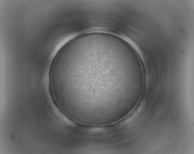 X0000114091341200910191555